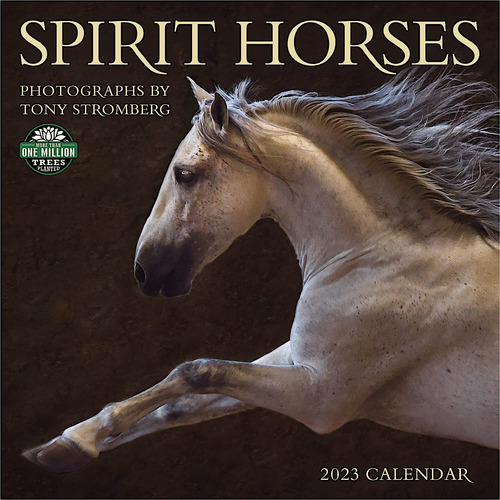 Calendario De Pared Spirit Horses 2023 De Tony Stromberg, 12