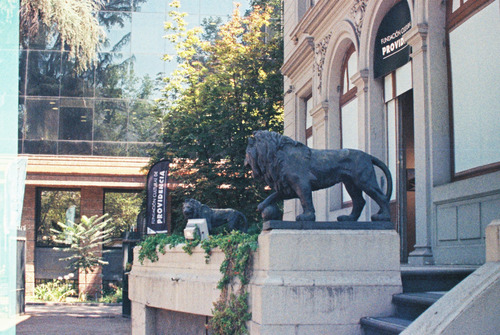 Rollo 110 Lomography Tiger color 24 exposiciones