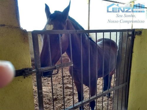 Imagem 9 de 29 de Haras À Venda Em Bragança Paulista/sp - Compre O Seu Haras Aqui! - 1405017