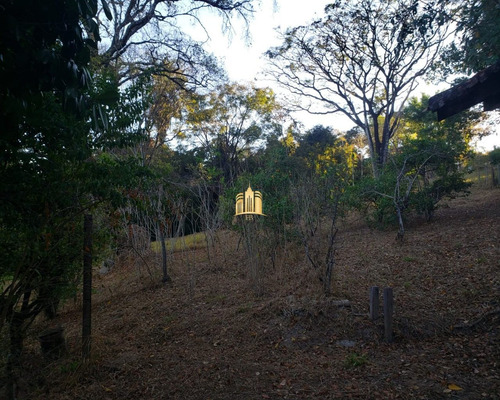 Imagem 14 de 30 de Sitio No Condominio Vale Do Ipe Amarelo Em Esmeraldas - St00153 - 70037859