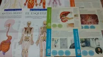 Comprar 5 Laminas Genios, 7 Fasciculos Súper Temas Billiken + Regalo