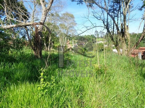 Imagem 4 de 6 de Cód 1716 - Lindo Terreno Com 1.560 M². - 1716