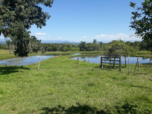 Imagem 12 de 18 de Fazenda À Venda, 63000 M² Por R$ 2.500.000,00 - Campo Bonito - Torres/rs - Fa0002