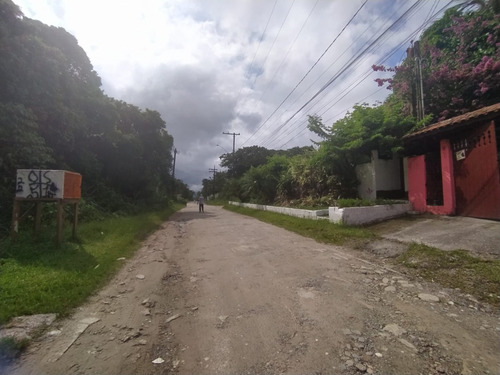 Imagem 8 de 30 de Chácara No Bairro São Fernando Em Itanhaém, Com Salão De Jogos, Piscina, Área Gourmet Com Churrasqueira, Canil, Campo De Futebol, Árvores Frutíferas, Aceita Entrada Mais Parcelas