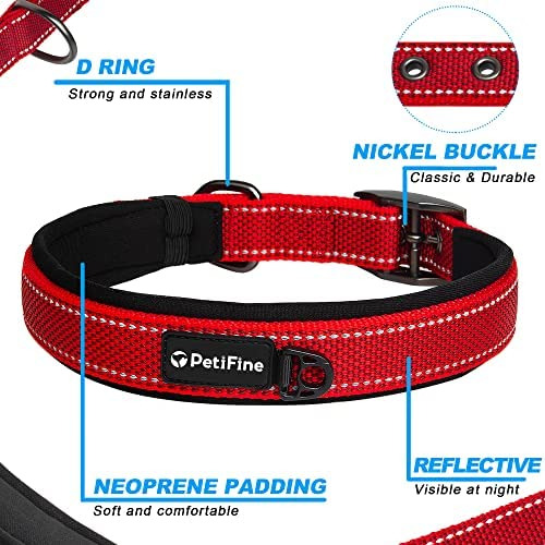 Collar De Perro Acolchado De Neopreno Petifine, Collar De Y
