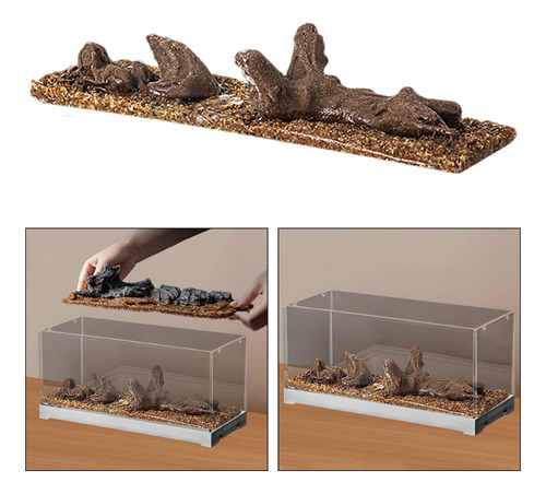 Accesorios De Acuarios De Decoración De Paisajismo Desierto