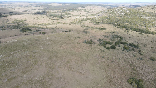 Campo En Rocha 78ha (ref: Atm-6768)
