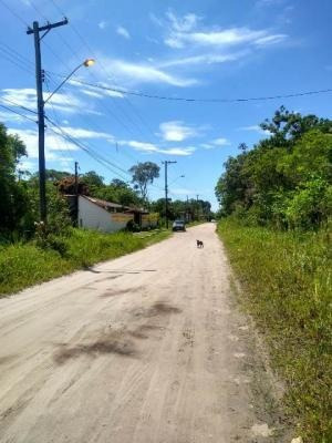 Imagem 3 de 5 de Amplo Terreno De Chácara, Itanhaém- São Fernando. 9590