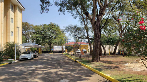 Imagem 28 de 30 de Apartamento Com 2 Dorms, Jardim Europa, Pirassununga - R$ 220 Mil, Cod: 10131707 - V10131707