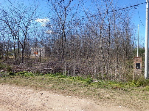 Imagen 6 de 7 de Hermoso Lote En Los Pinos
