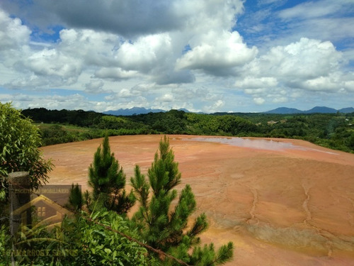Imagem 7 de 30 de Oportunidade De Investimento Em Área Industrial Com 238.000 M² Em Cgs - Ar00006 - 33571959