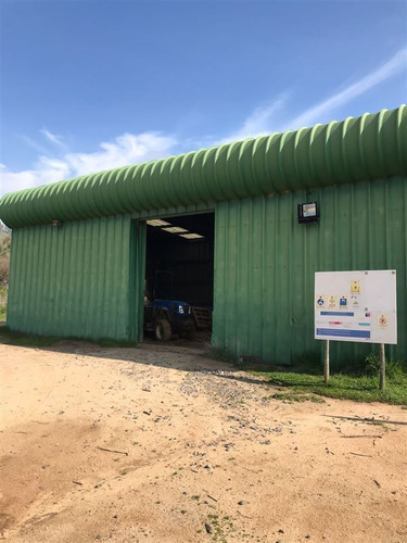 Imagen 10 de 10 de Agrícola En Venta En Pumanque Con Viñedo