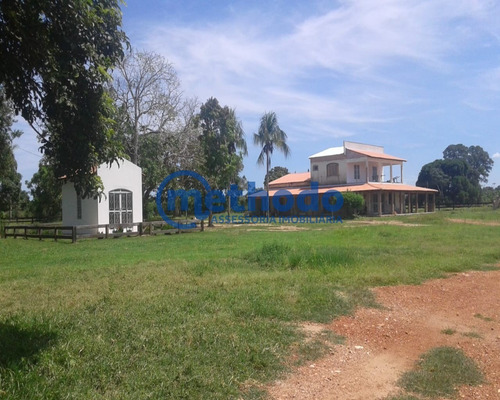 Fazenda - Fa00006 - 68495881