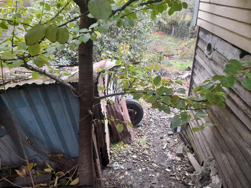 Preparate Para Una Nueva Inversion En Osorno