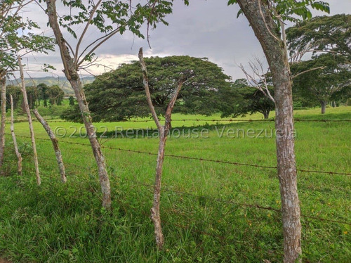 Julio Latouche 25-16896 Finca Ganadera En Venta Carabobo, 267 Hectáreas, Casa Principal De 550 Mts2, Dos Lagunas Para Riego.