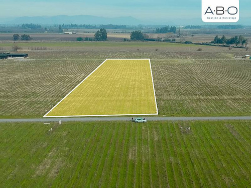 Santa Cruz - Viña 5.000 M2 - Fuegos De Apalta