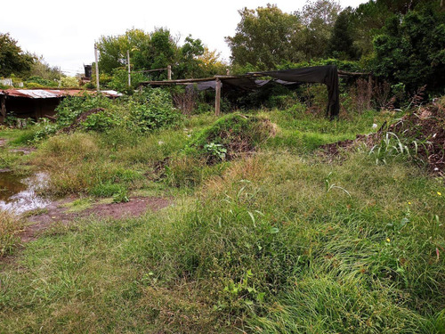 Imagen 6 de 10 de Lote En Venta En Villa Elisa Sobre 419 (arana