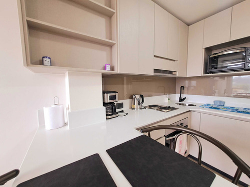Estupendo Home-studio Amoblado, Centro Ccp. (93046)