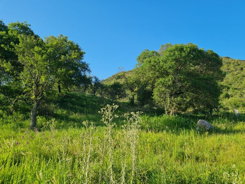 Lote De Ensueño En Los Milagros, El Mejor Barrio Privado De Santa Rosa De Calamuchita