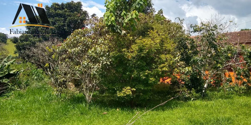 Imagem 15 de 15 de Chácara Para Venda Em Pinhalzinho, Zona Rural, 4 Dormitórios, 2 Banheiros - 112_1-2388624