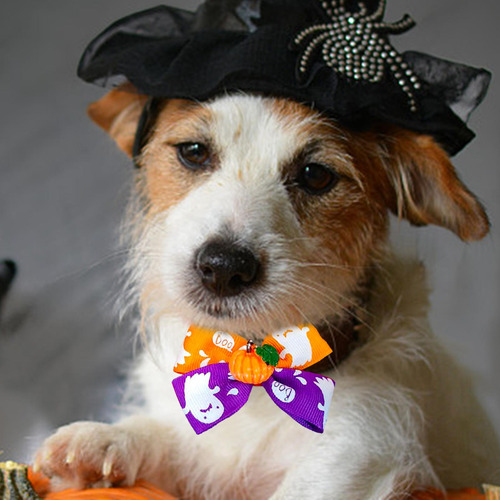 2 Otoño Halloween Mascota Corbata Cachorro Gato Estilo Yo