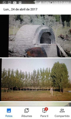 Imagen 9 de 11 de Venta 26 Ha. En San Pedro De Atuel - Mendoza