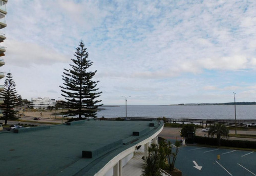 Venta Apartamento Mansa 1 Dormitorio 1 Baño Edificio Vanguardia Vista Al Mar Punta Del Este Uruguay Id 133