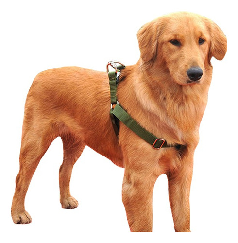 Pretal Arnes Perro Collar Correa Labrador, Golden, Ovejero