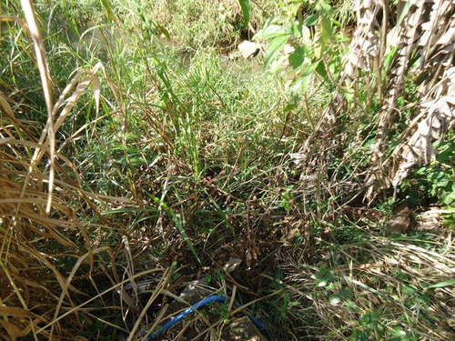 Imagem 17 de 17 de Chácara Para Venda - Centro, Sabaúna - 11461m², 1 Vaga - 49