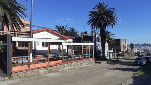 Local En Puerto Punta Del Este