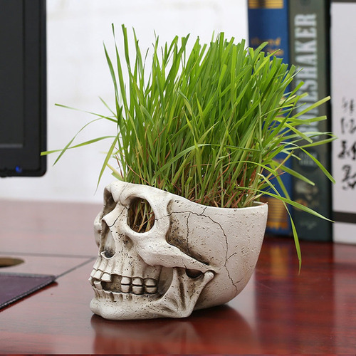 Maceta Plantada Con Forma De Cabeza De Calavera De Resina