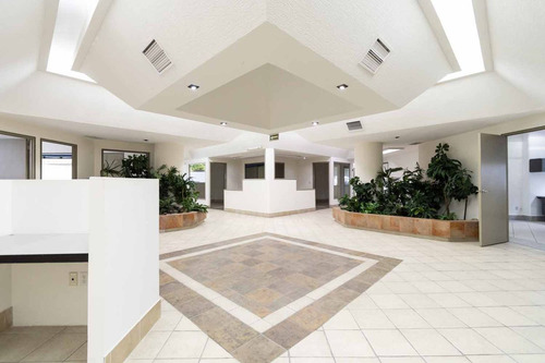 Renta Edificio Precio $300.00 M2