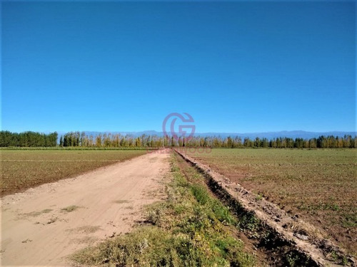 Imagen 7 de 9 de Greenwood Alquila Finca Productiva De 88ha Con Agua De Pozo Y Derecho De Riego