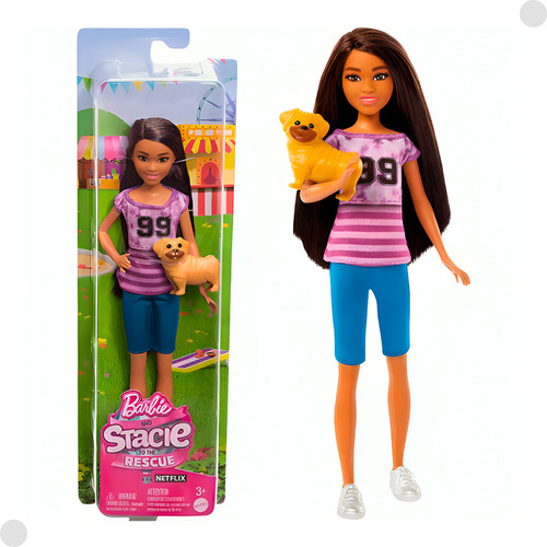 Boneca Barbie Ligaya Stacie Ao Resgate Hrm06 - Mattel