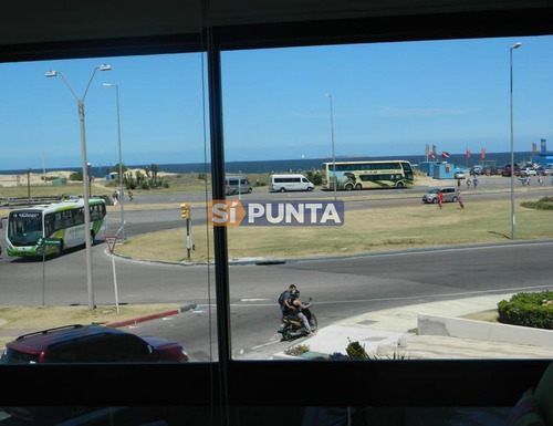 Imagen 2 de 8 de Playa Brava A Pasos De Todo!