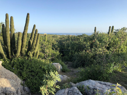 Zacaton Playa Tortuga, Zacaton Developer Land
