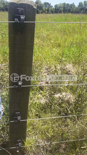 Imagem 13 de 15 de Fazenda / Sítio / Chácara, 2 Dormitórios, 504 M², Sítio São José - 218392