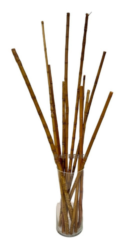 Tronco Bambu Tratado Para Decoração Artesanato Kit Com 6 Uni