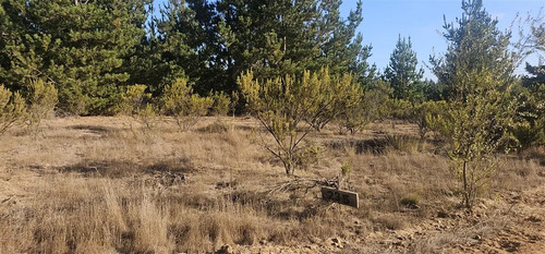 Parcela En Venta En Pichilemu