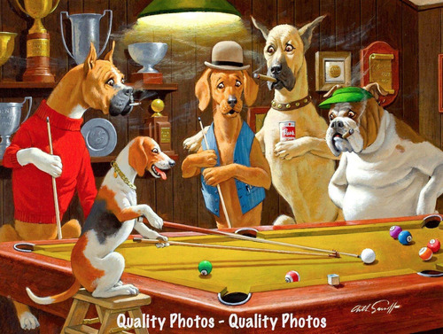 Vinilo Decorativo 60x90cm Perros Jugando Pool Playing M2