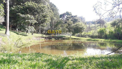 Imagem 11 de 15 de Chácara Para Venda Em Bragança Paulista, Centro, 2 Dormitórios, 2 Banheiros, 8 Vagas - 21191_1-1823183