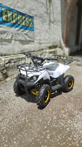 Imagen 4 de 8 de Minicuatrimoto O Miniatv