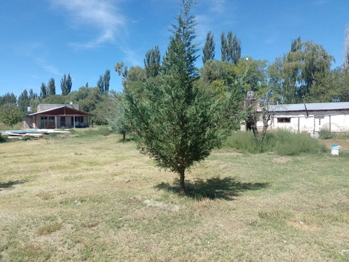 Imagen 13 de 19 de Venta De Casa Con Terreno De 1/2 Hectárea - San Rafael Mendoza
