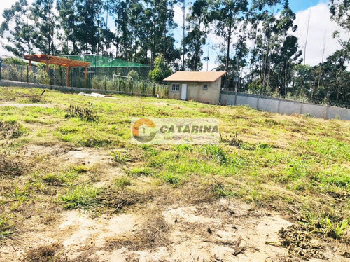 Imagem 2 de 12 de Otimo Terreno Dentro De Residencial