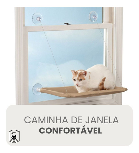 Kit Gato Cama Janela Ventosa+3 Varinha+escova+catnip Felino