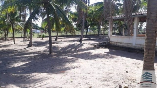 Imagem 6 de 14 de Granja A Venda Lagoa Do Bonfim