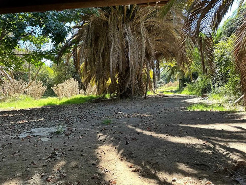 Conectividad Centro De Isla De Maipo (177606)