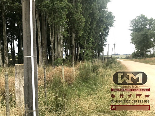 Venta Chacra Flores 1 Hectárea A 3 Km De Trinidad Flores