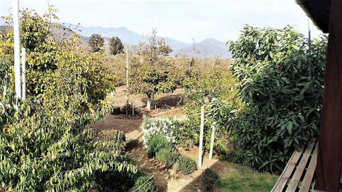 Venta De Parcela De 20.000 M2, Hermosa Y Productiva, En El M