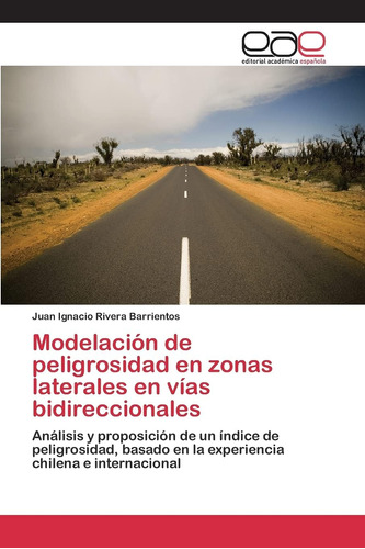 Libro: Modelación De Peligrosidad En Zonas Laterales En Vías